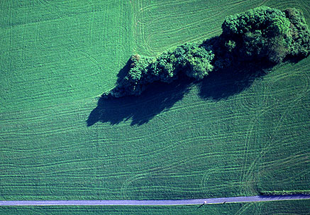 Felder und Strasse